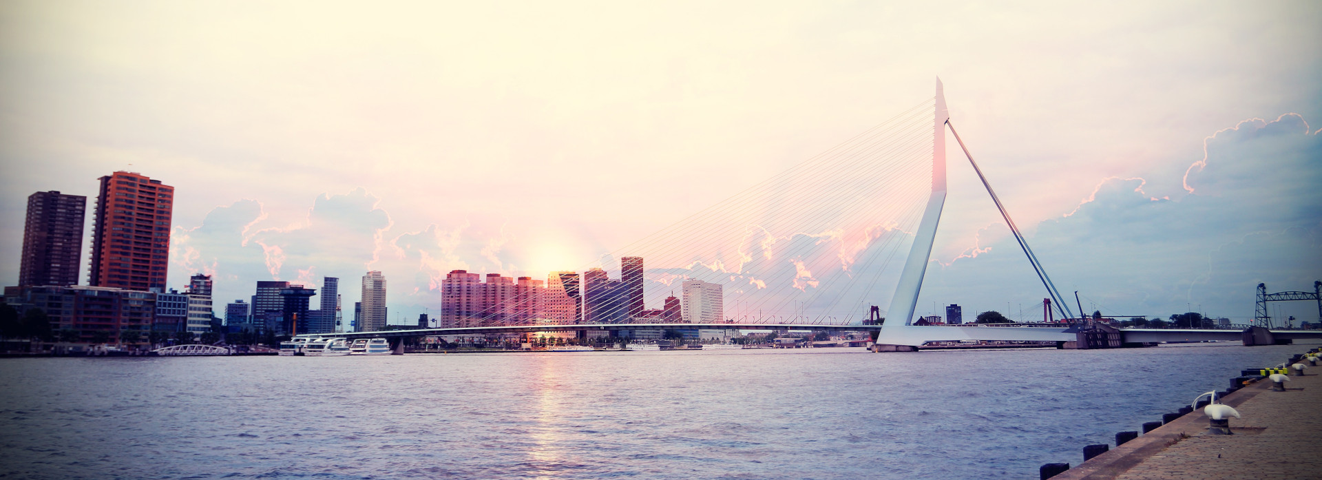 5 najlepszych barów i klubów w Rotterdamie